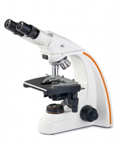 میکروسکوپ l2800