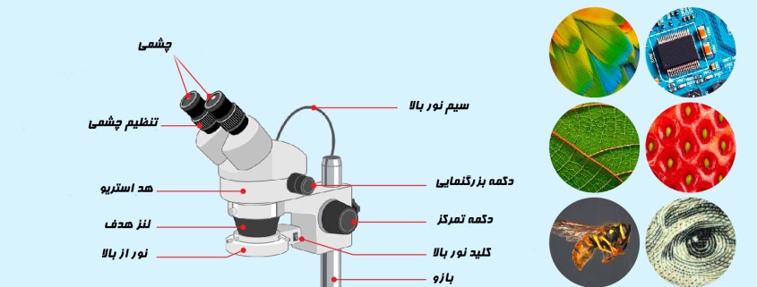اجزای استریو میکروسکوپ لوپ